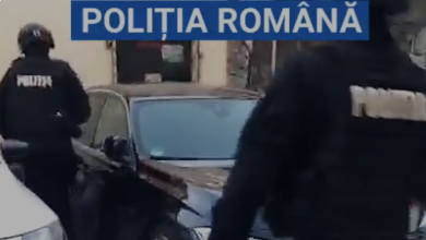 șoferiță | MyTex.ro