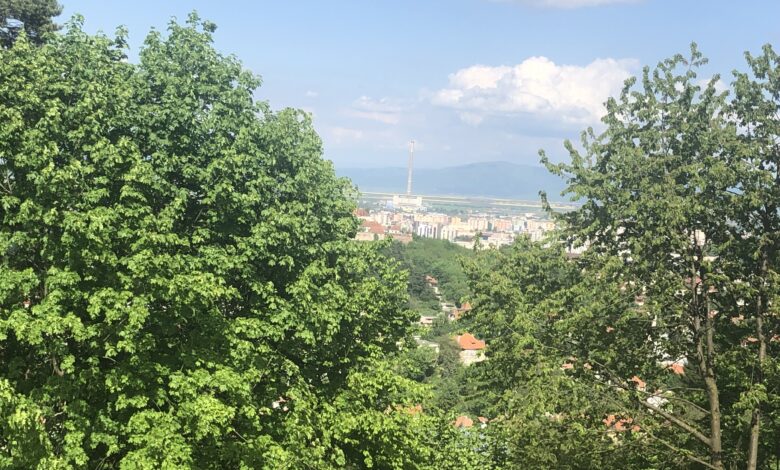Altă dezbatere despre pădurile Brașovului 1 Altă dezbatere despre pădurile Brașovului | MyTex.ro