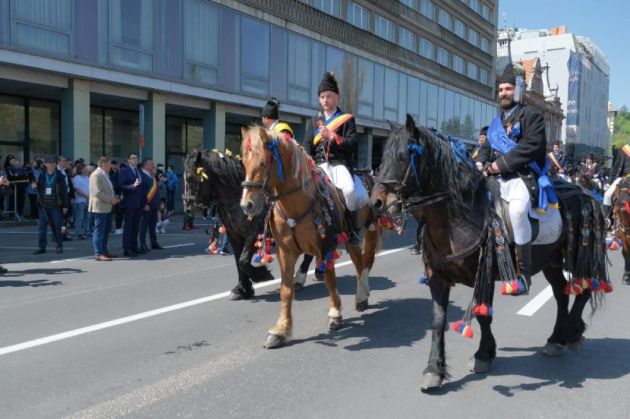 parada-Juni16_296440.jpg
