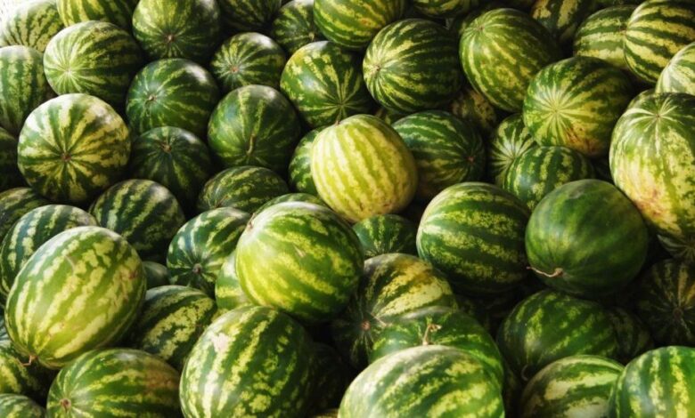 ATENȚIE. Pepeni cu pesticide retrași de pe piața românească! În ce magazine au fost comercializați?... 5 | MyTex.ro