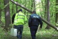 Pădurar găsit mort într-un complex de vânătoare. Ipoteza șocantă luată în calcul 5 Brașov | MyTex.ro