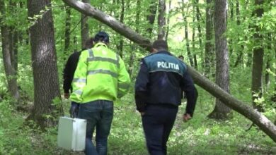 Profesor găsit mort într-o pădure | MyTex.ro