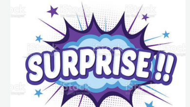 Ce președinte la FC BRAȘOV!... / Ce a declarat antrenorul Călin Moldovan? 3 | MyTex.ro