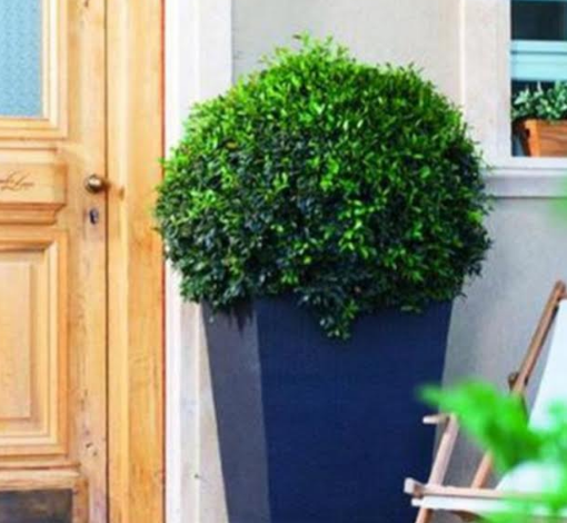 Ghivecele de ratan, un prim pas către propria ta oază de liniște, în curte sau grădină! 7 | MyTex.ro