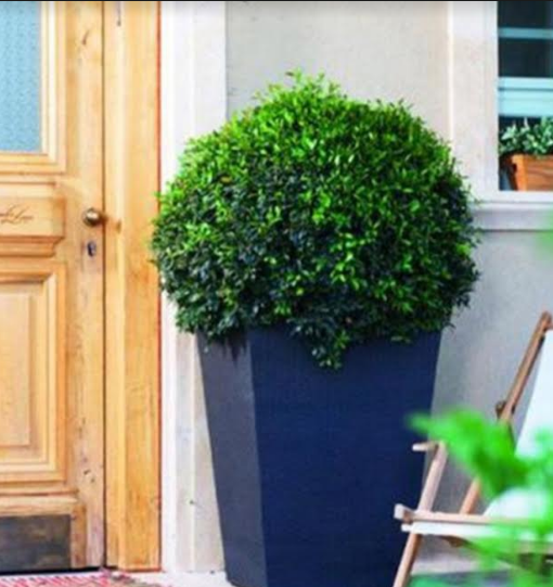 Ghivecele de ratan, un prim pas către propria ta oază de liniște, în curte sau grădină! 8 ratan1.png