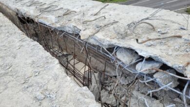 Două linii metropolitane RATBV revin | MyTex.ro