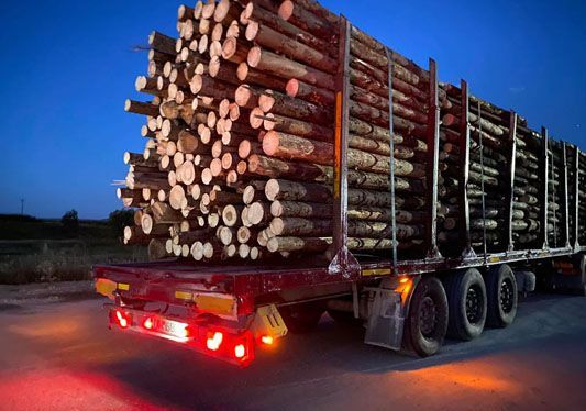 Județul BRAȘOV. Transportator profesionist de material lemnos, amendat din cauza unor nereguli la zeci de „drumuri” 5 | MyTex.ro