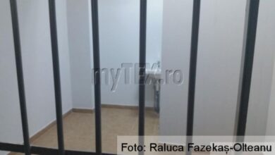 Angajări | MyTex.ro