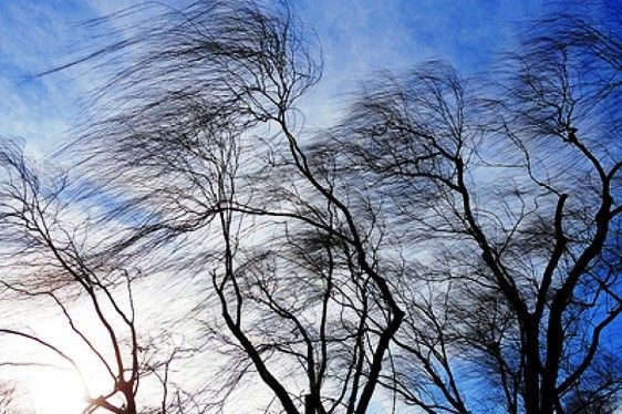 METEO BRAȘOV. Atenție, vânt puternic! COD GALBEN... 5 | MyTex.ro