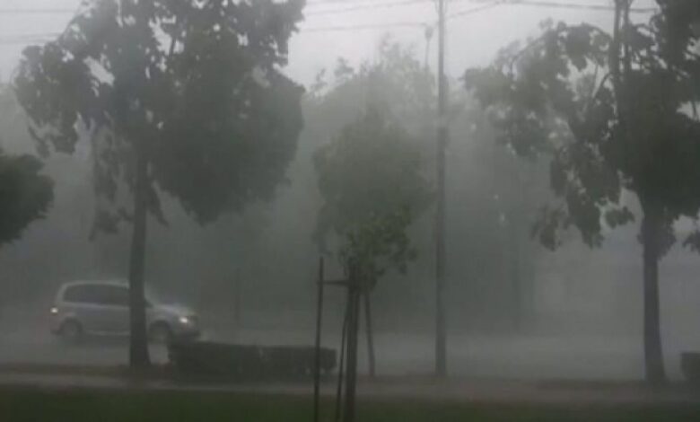 METEO BRAȘOV. Vânt extrem de puternic, frig, brumă... 5 | MyTex.ro