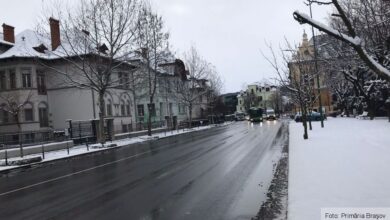 | MyTex.ro