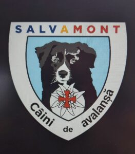 caine antrenat special, dara, dispariție, doliu, misiuni, salvamont, unitate canină Salvamont, unitate canină