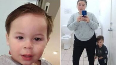 Un băiețel de doi ani a murit după ce a fost atacat de doi câini 12 Iconar brașovean plecat prematur cele veșnice | MyTex.ro