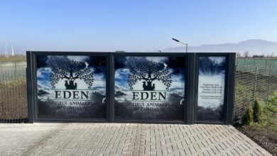Eden, cimitirul animalelor de companie, cimitir animale, cimitir animale Brașov, Codlea, Brașov,