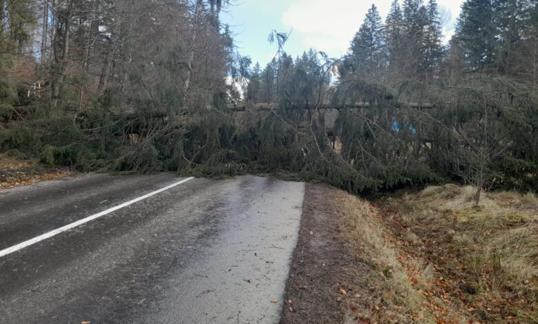 Blocaj pe DN 73A, în județul Brașov, din cauza unor copaci căzuți 1 Pe DN 73A | MyTex.ro