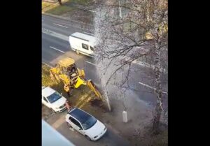 Dorel a făcut arteziană pe Hărmanului | MyTex.ro