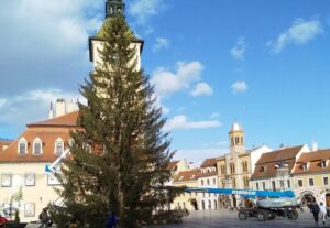 Bradul Piața Sfatului, Bradul de Crăciun 202, Brad de Crăciun Brașov, brad despodobit, Brașov, Piața Sfatului