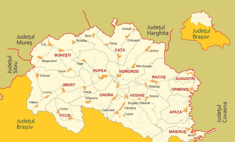 Apel de selecție 5 | MyTex.ro