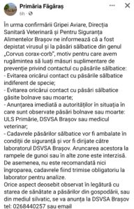 Incubatorul | MyTex.ro