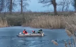 Câini salvați din lacul înghețat | MyTex.ro