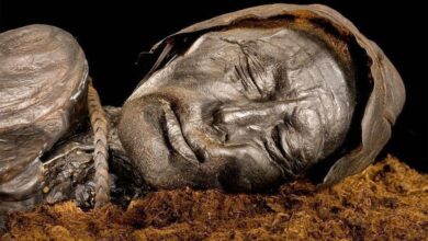 Timp de 13 ani a ţinut în locuinţă cadavrul mumificat al mamei sale | MyTex.ro