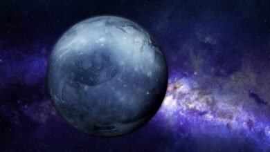 Pluto intră în Varsător | MyTex.ro