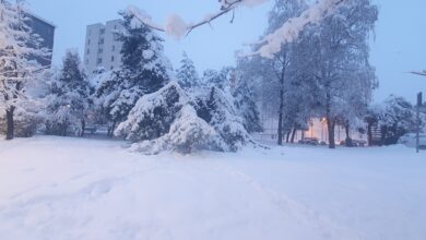 Brașovul nu scapă de furtuni | MyTex.ro