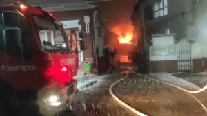 Incendiu la o hală de procesare a peștelui, în județul Brașov (foto - video) 7 Incendiu | MyTex.ro