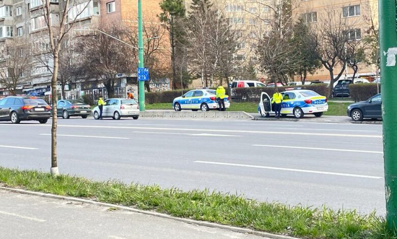 zărnești | MyTex.ro