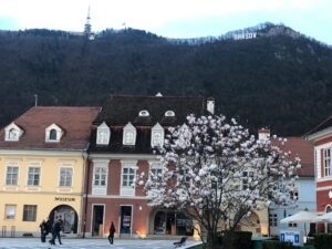 Începe Culturama | MyTex.ro