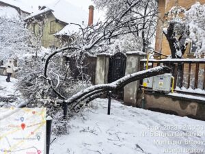 Un șofer | MyTex.ro