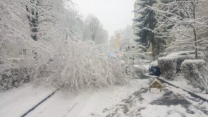 Un șofer | MyTex.ro