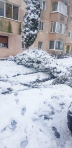 Un șofer | MyTex.ro