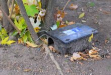 A început o nouă campanie de deratizare și de tratament fitosanitar, în municipiul Brașov 5 Trenurile circulă cu restricție de viteză | MyTex.ro