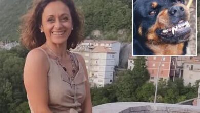 O femeie a murit sfâşiată de câinele fratelui ei | MyTex.ro