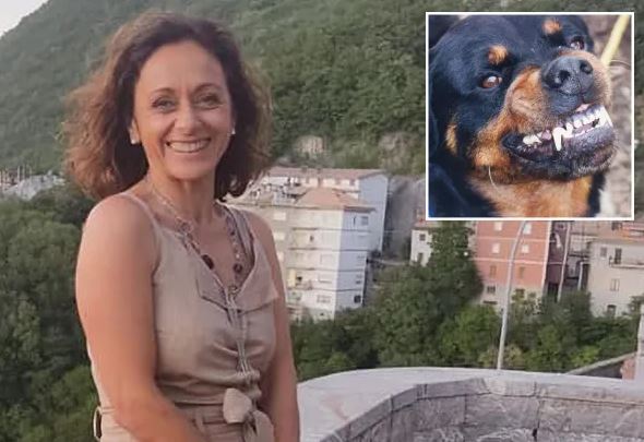 O femeie a murit sfâşiată de câinele fratelui ei 3 O femeie a murit sfâşiată de câinele fratelui ei | MyTex.ro