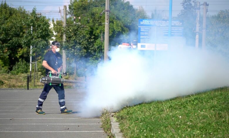 Începe dezinsecția la Brașov 3 Începe dezinsecția la Brașov | MyTex.ro