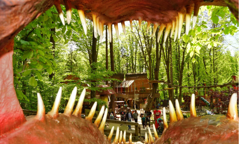 Dino Parc Râșnov - anunț important 3 Dino Parc Râșnov | MyTex.ro