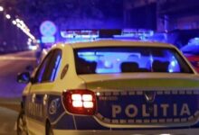 Directoarea | MyTex.ro