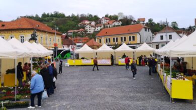 Unde vor fi ținute târgurile la Brașov | MyTex.ro