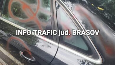 fiul | MyTex.ro