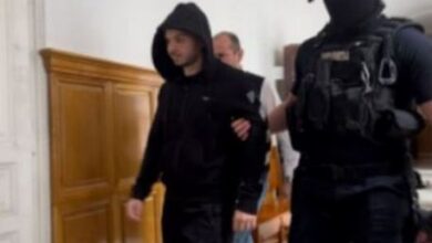 Fost olimpic la informatică | MyTex.ro