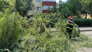 Atenție - scăderi bruște de temperatură | MyTex.ro