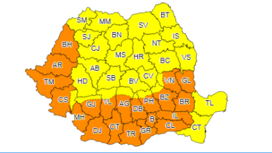 Arde țara | MyTex.ro