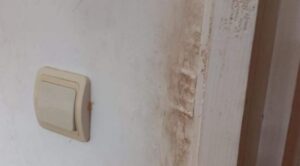 protecția | MyTex.ro