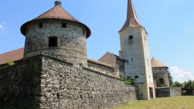 Evenimente spectaculoase și inedite | MyTex.ro