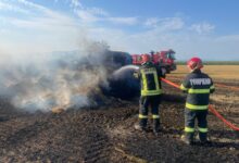 Avertisment după apariția primelor incendii de vegetație: arderea terenurilor este interzisă și poate avea consecințe grave 3 | MyTex.ro
