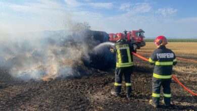 Avertisment după apariția primelor incendii de vegetație: arderea terenurilor este interzisă și poate avea consecințe grave 11 Premiu internațional prestigios pentru Spitalul Județean Brașov | MyTex.ro