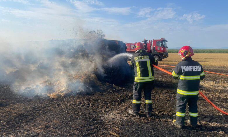 Avertisment după apariția primelor incendii de vegetație: arderea terenurilor este interzisă și poate avea consecințe grave 3 Vegetație | MyTex.ro