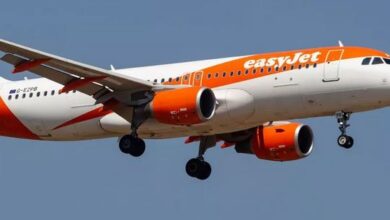 Panică la bordul unui avion al EasyJet | MyTex.ro